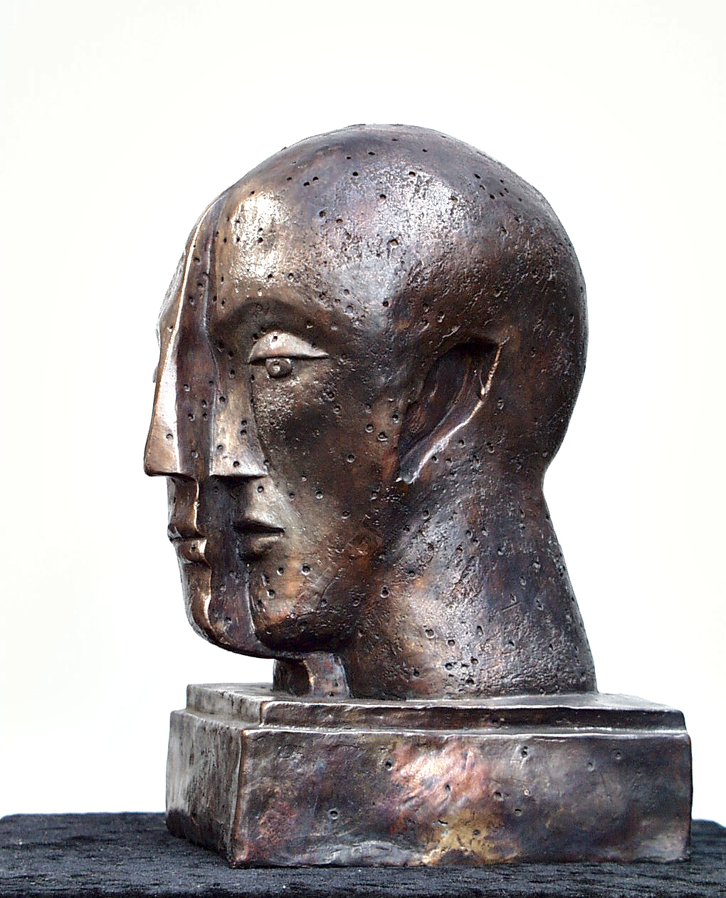 Archillus perforatus109